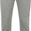 Champion Joggingbroek Grijs 2 Champion Joggingbroek Grijs -Kleding Kortingswinkel 76821 1